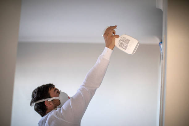 Best Commercial Mold Remediation in Kahoka, MO