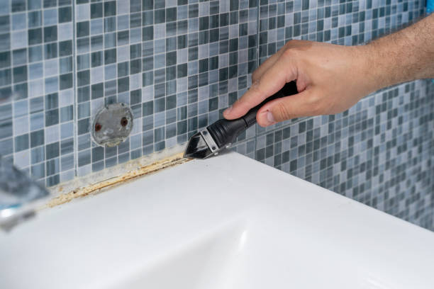 Best Kitchen Mold Remediation in Kahoka, MO